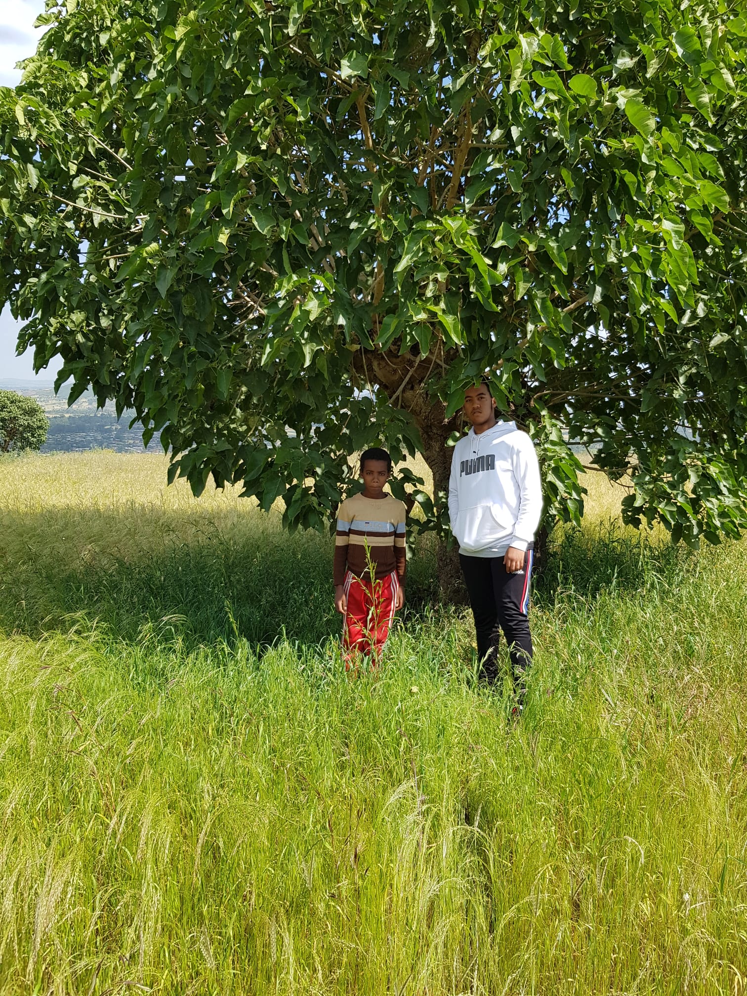 Picnic planning meeting